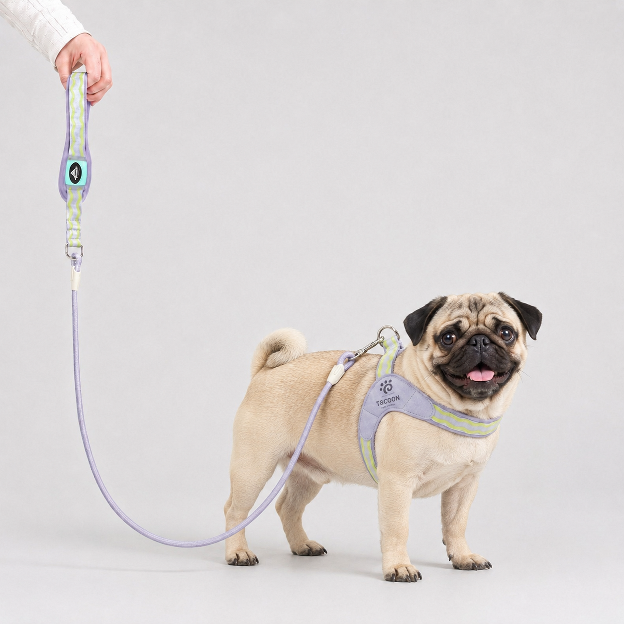 PawVibe-Pug-Harness-Leash-Set.jpg