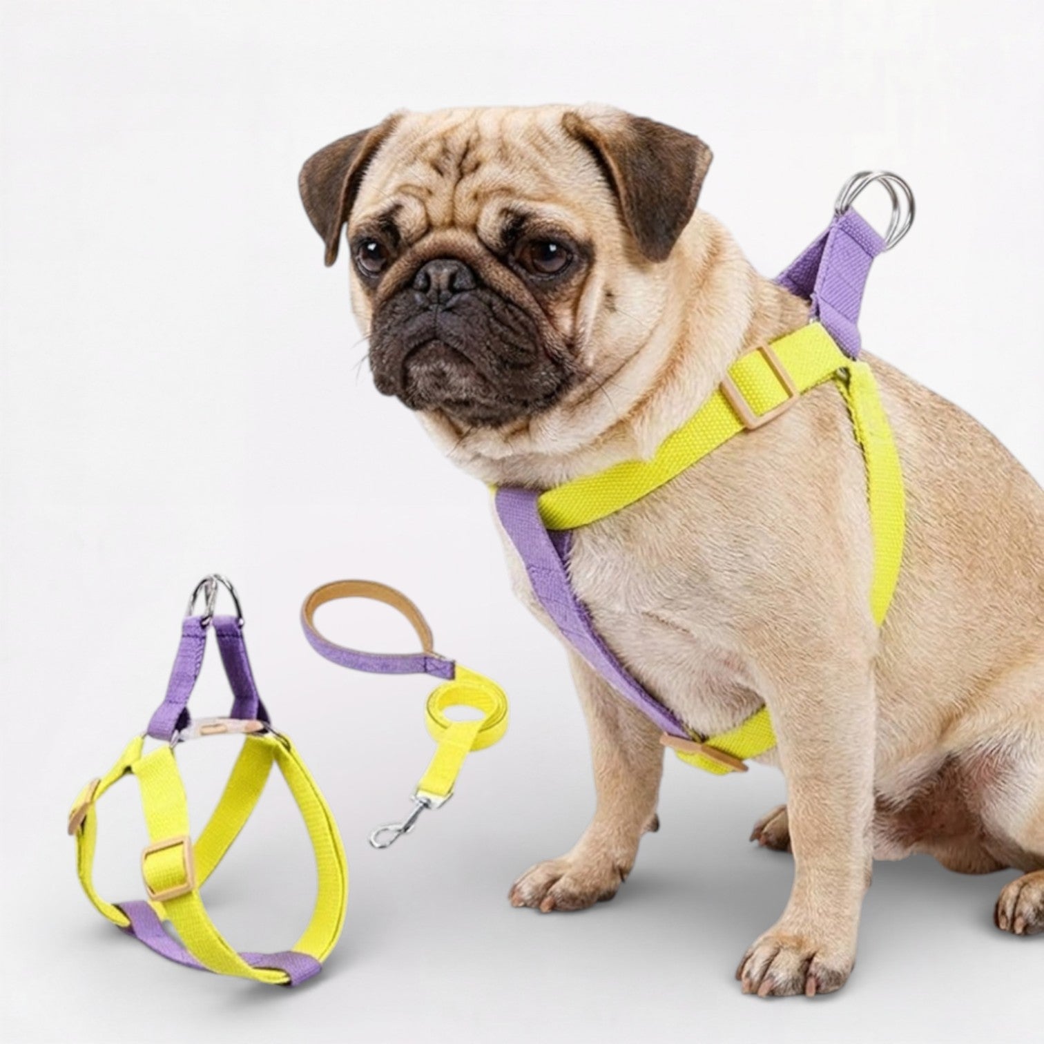 PawVibe-Pug-Harness-Leash-Set.jpg