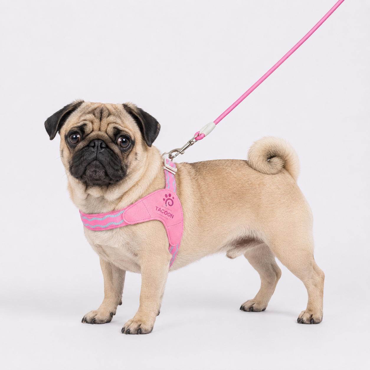 PawVibe-Pug-Harness-Leash-Set.jpg
