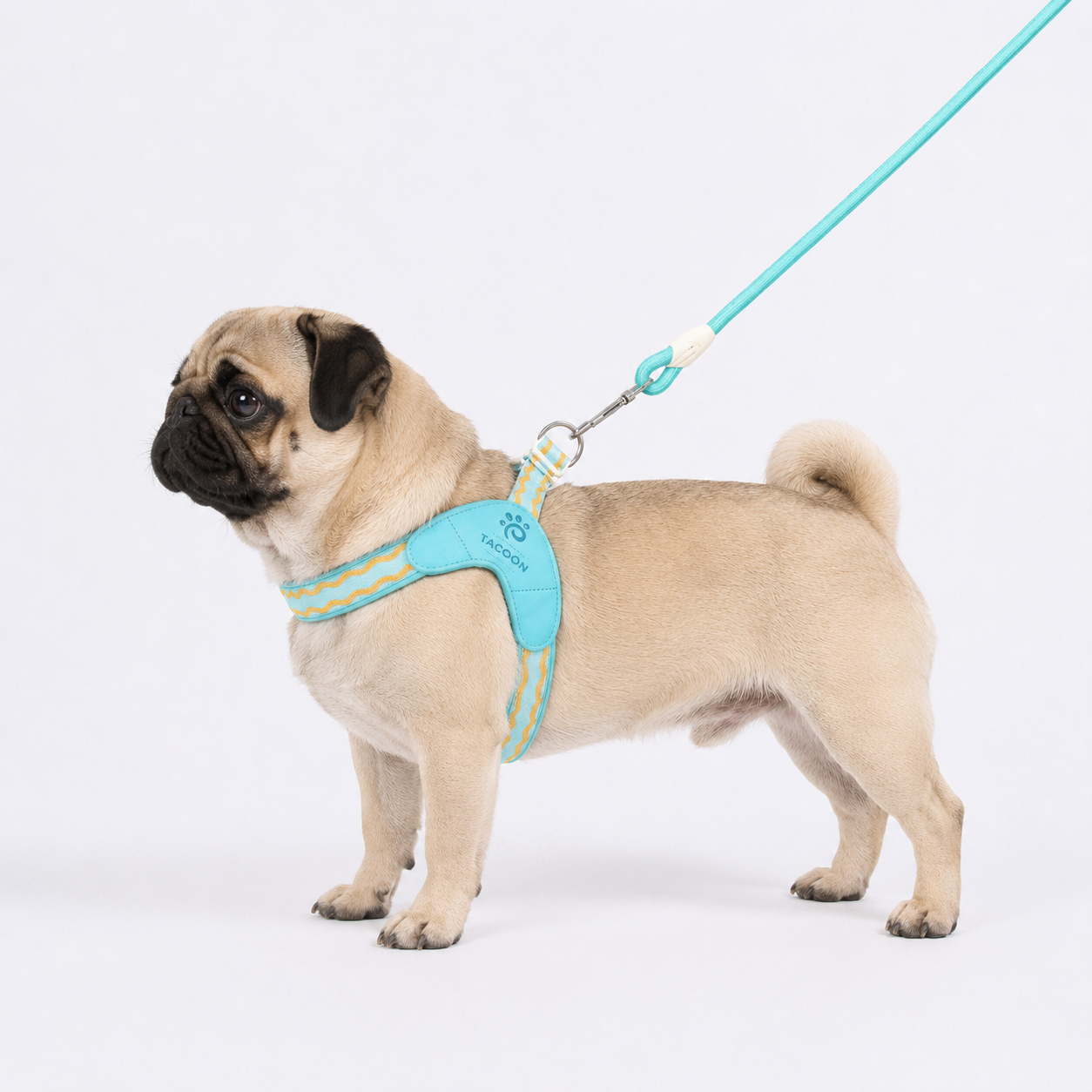 PawVibe-Pug-Harness-Leash-Set.jpg