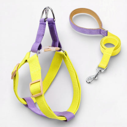 PawVibe-Pug-Harness-Leash-Set.jpg