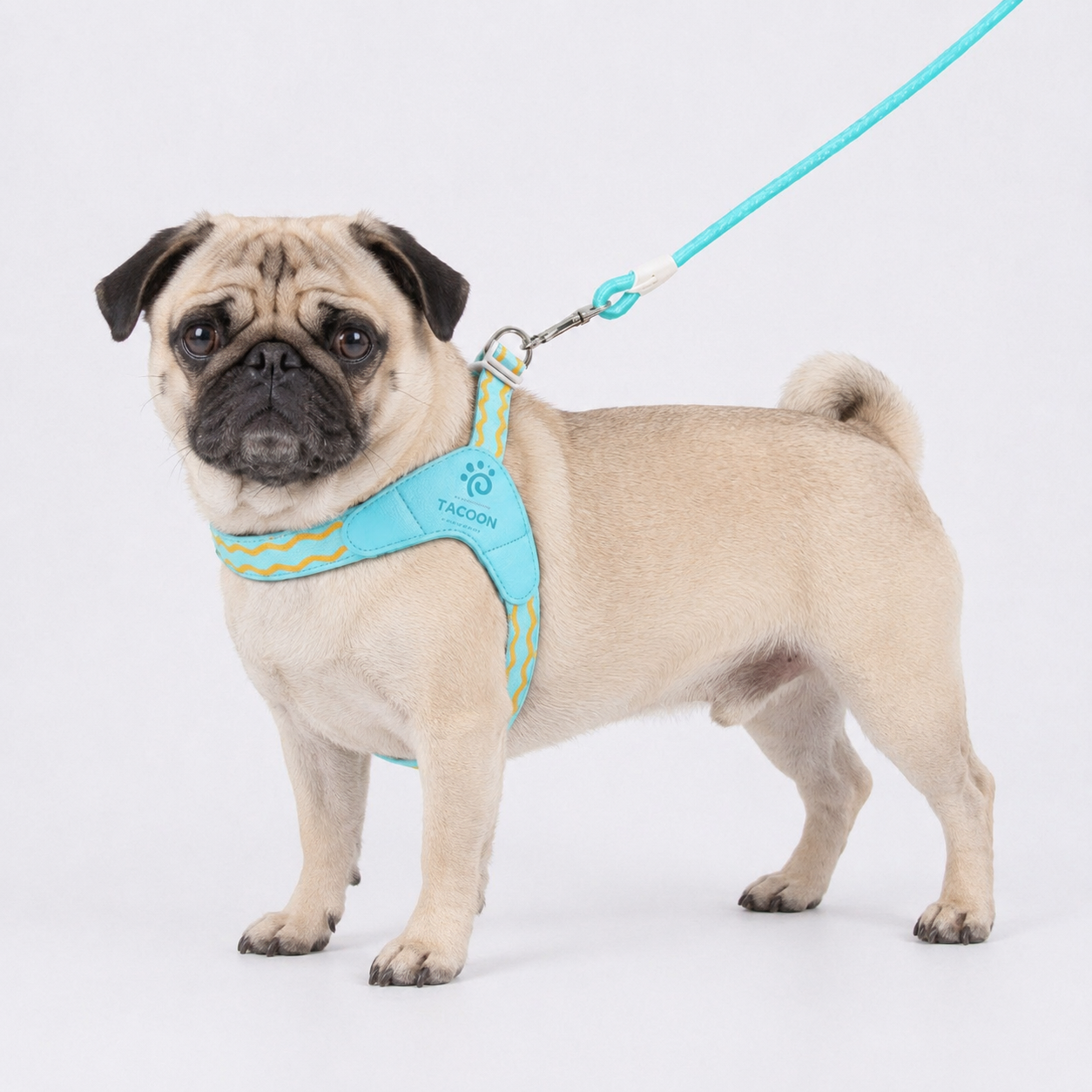 PawVibe-Pug-Harness-Leash-Set.jpg