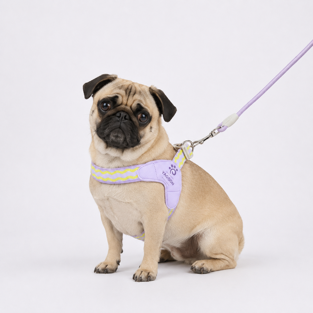 PawVibe-Pug-Harness-Leash-Set.jpg