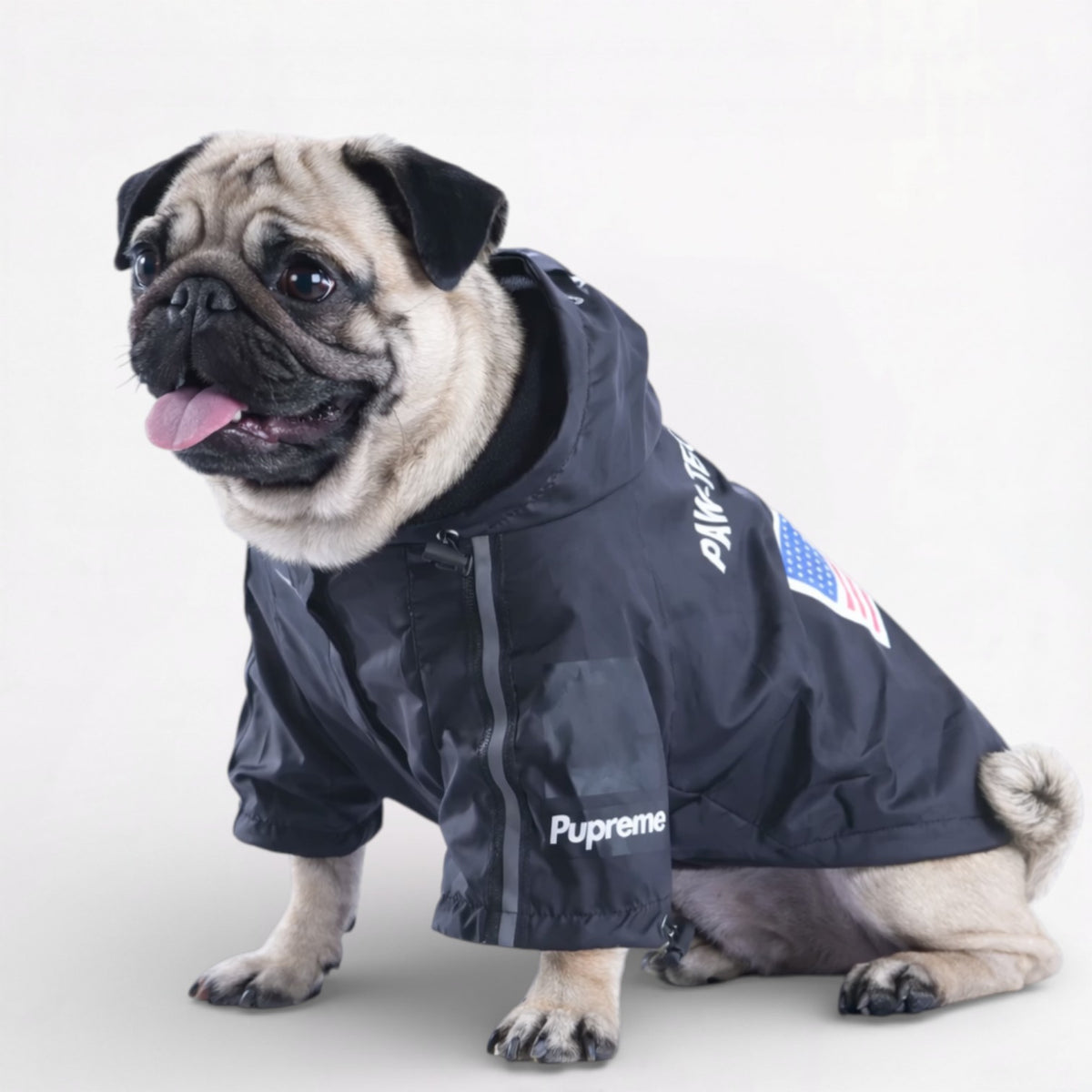 PawVogue-Pug-Reflective-Raincoat.jpg