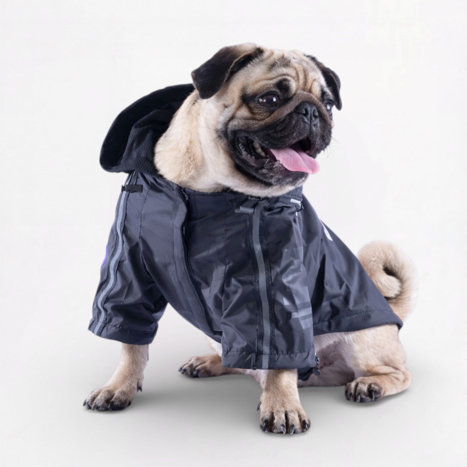 PawVogue-Pug-Reflective-Raincoat.jpg