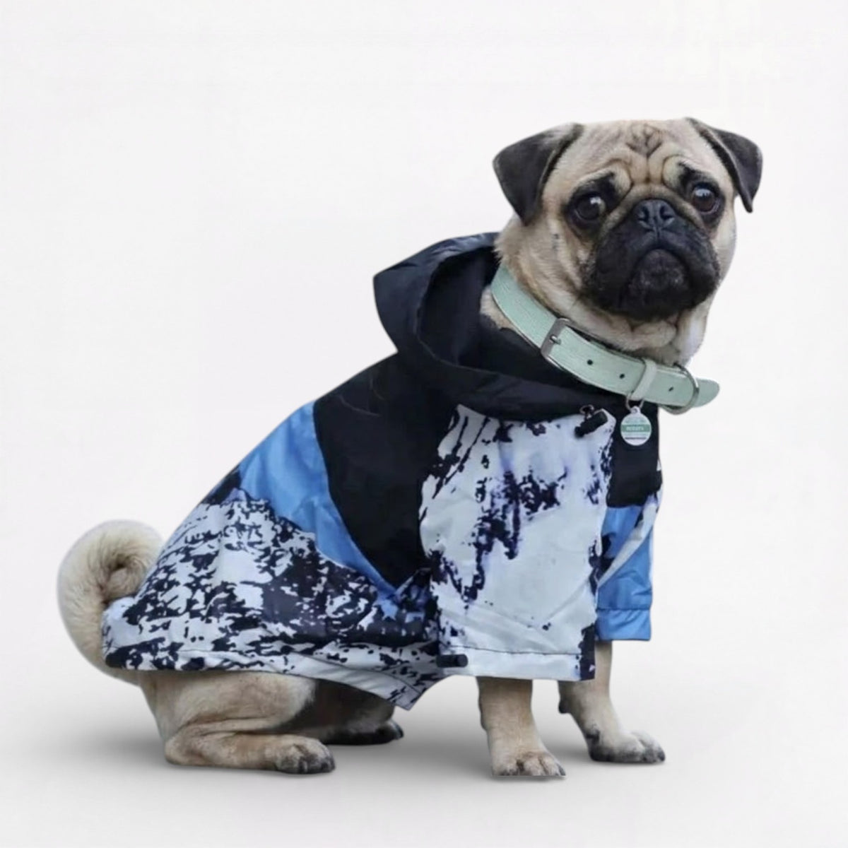 Pawctic-Pug-Waterproof-Raincoat.jpg