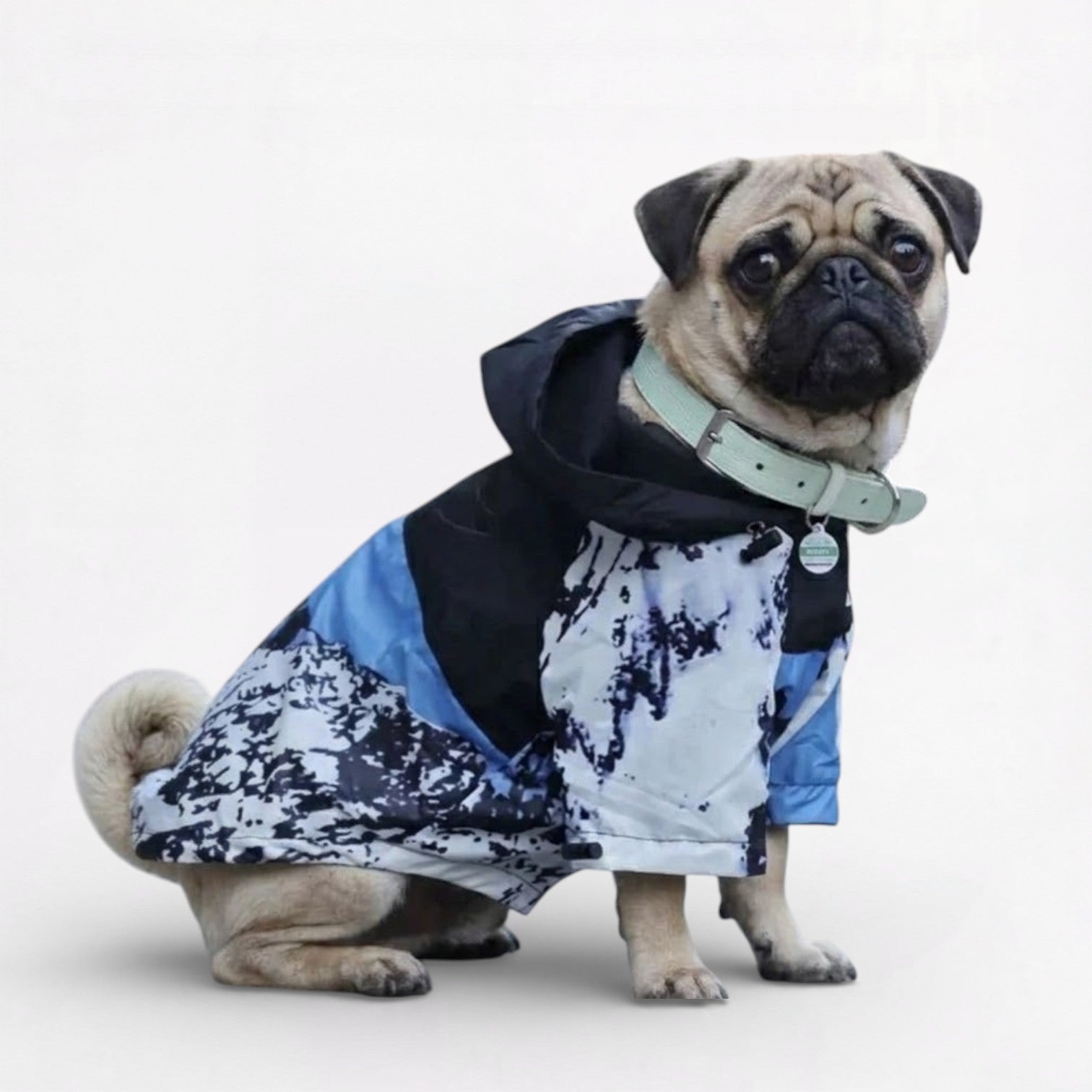Pawctic-Pug-Waterproof-Raincoat.jpg