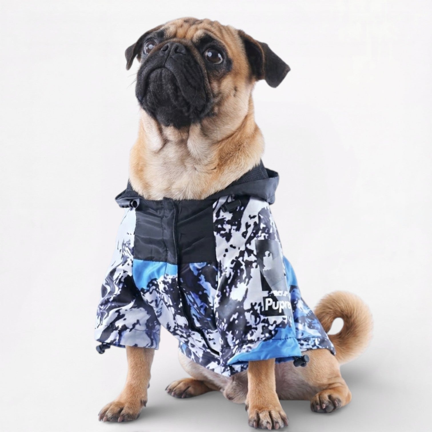 Pawctic-Pug-Waterproof-Raincoat.jpg