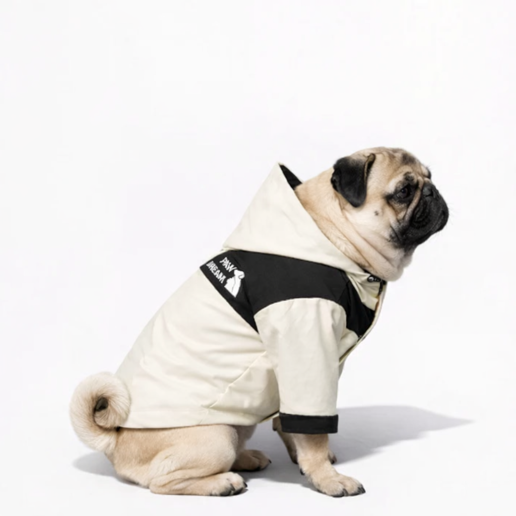 Pawdura-Pug-Raincoat.jpg