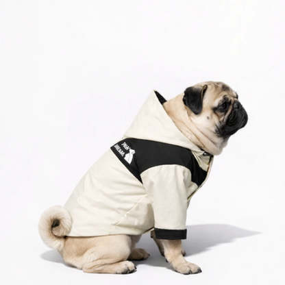 Pawdura-Pug-Raincoat.jpg