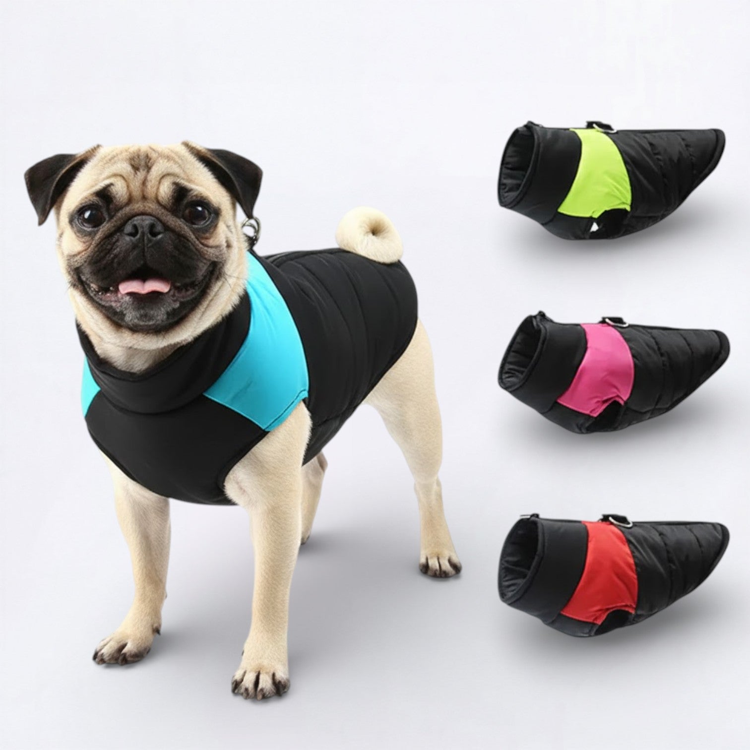 Pawguard-Pug-Waterproof-Jacket.jpg