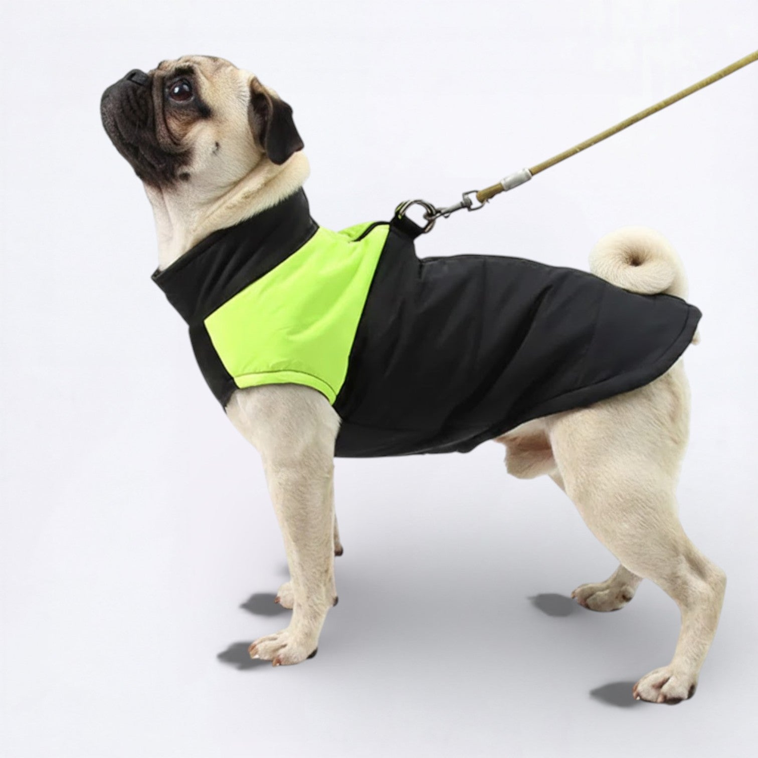 Pawguard-Pug-Waterproof-Jacket.jpg