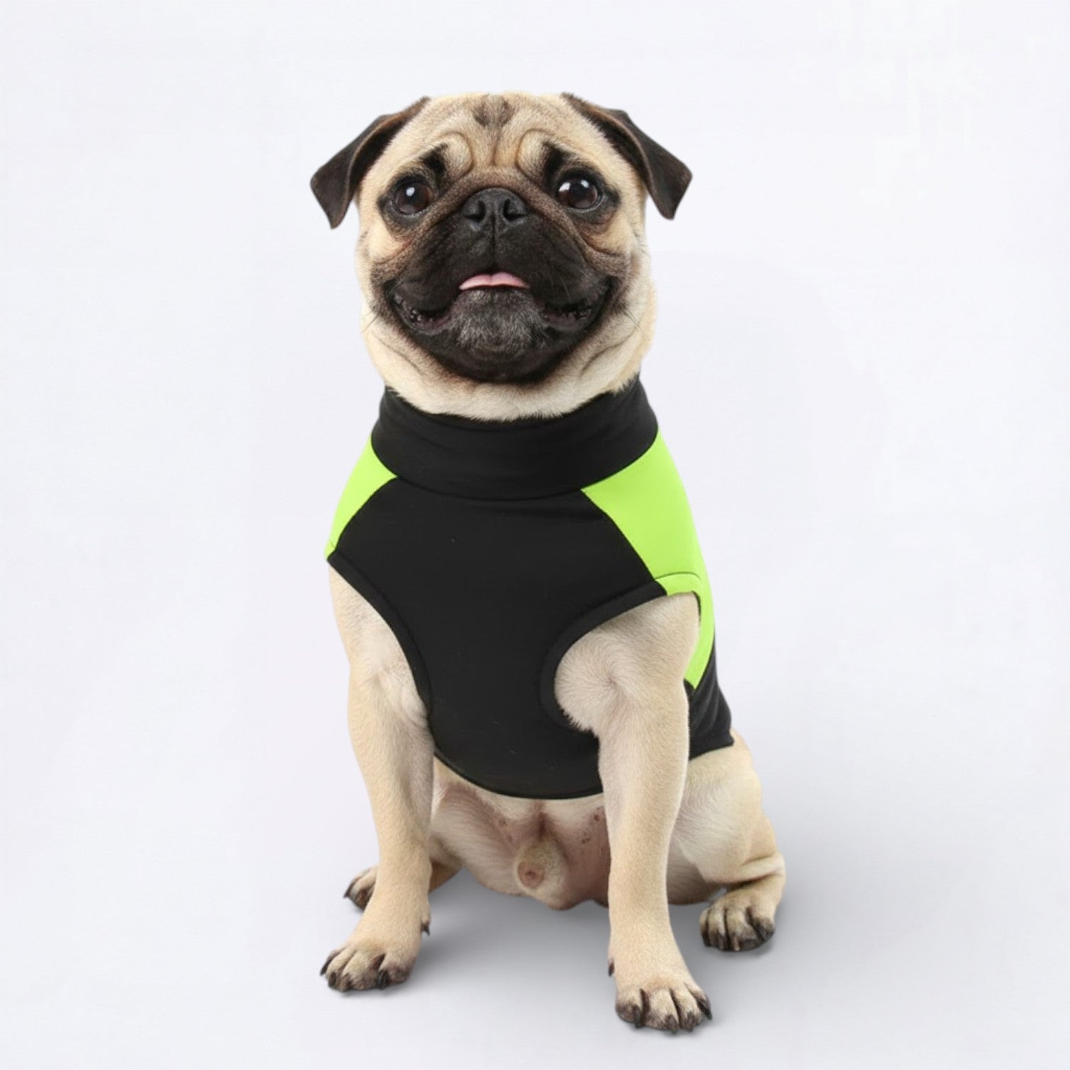 Pawguard-Pug-Waterproof-Jacket.jpg