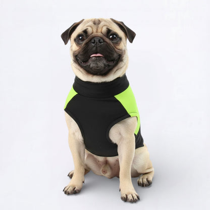 Pawguard-Pug-Waterproof-Jacket.jpg