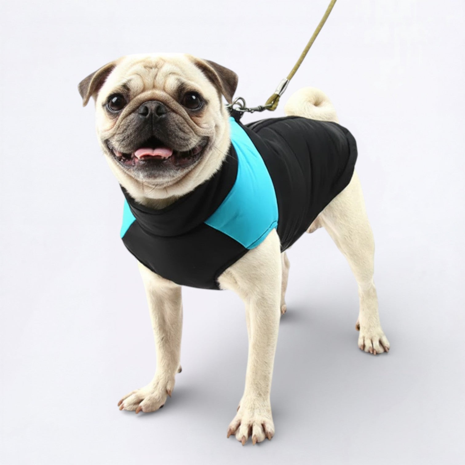 Pawguard-Pug-Waterproof-Jacket.jpg