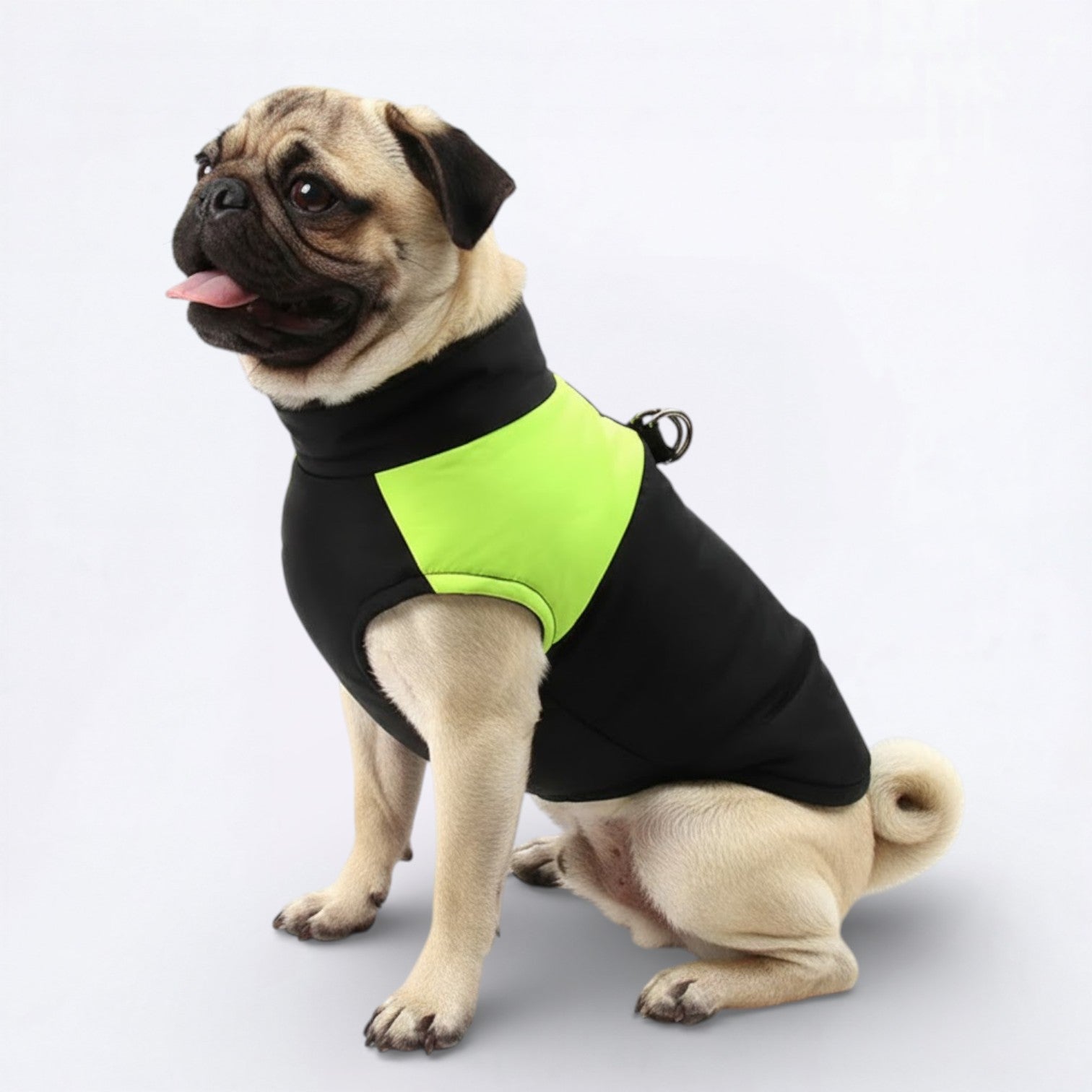 Pawguard-Pug-Waterproof-Jacket.jpg