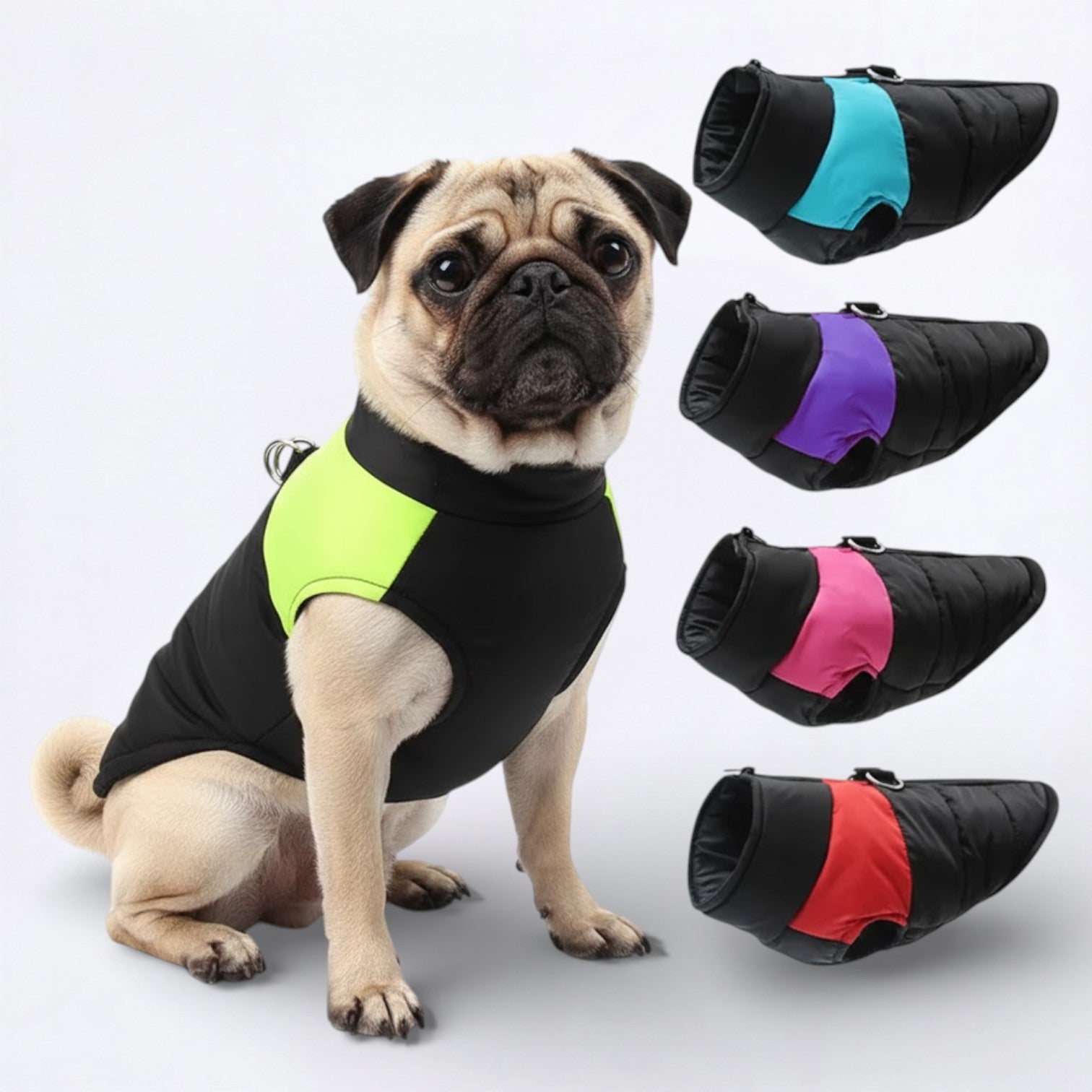 Pawguard-Pug-Waterproof-Jacket.jpg