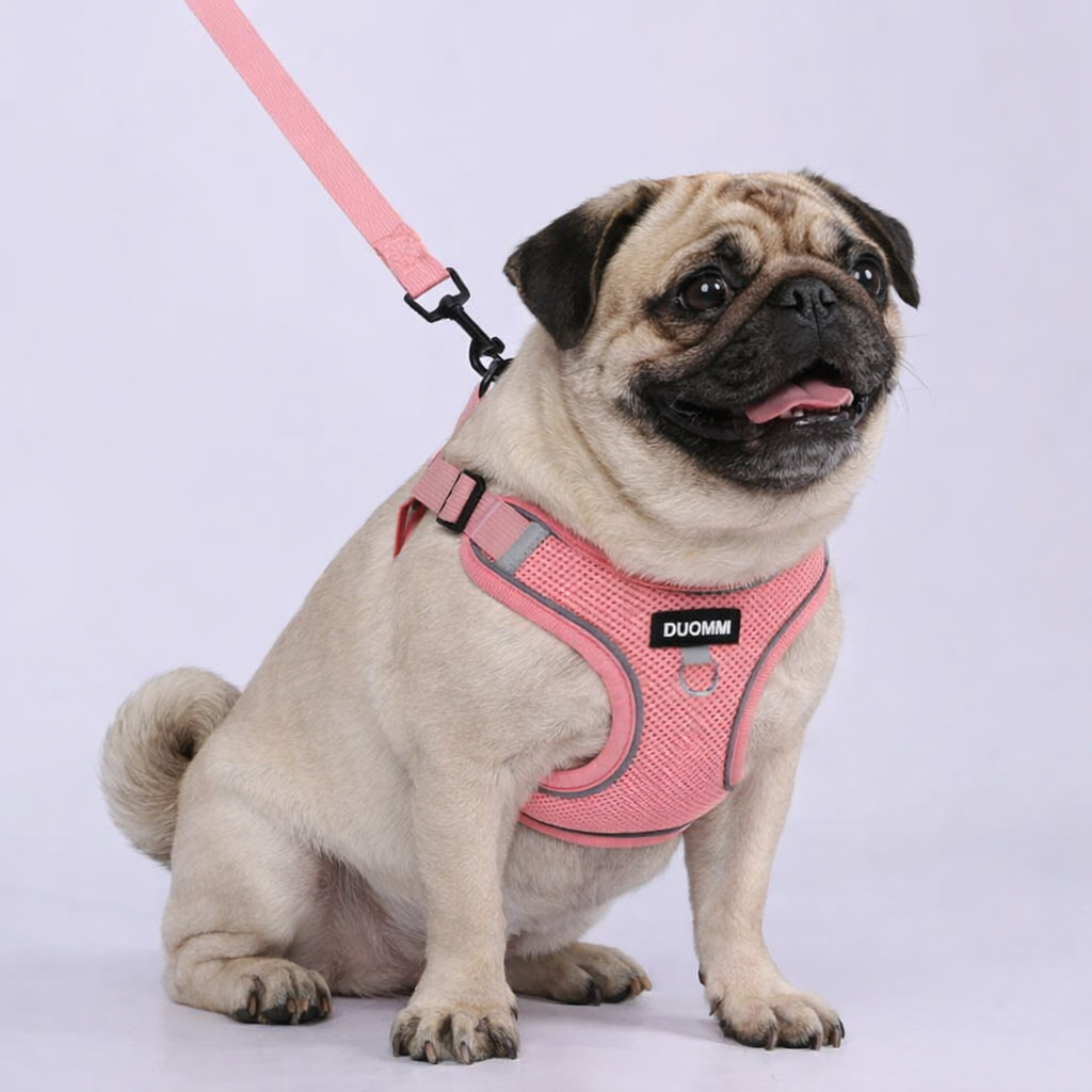 Pawlix-Pug-Harness-Leash-Set.jpg
