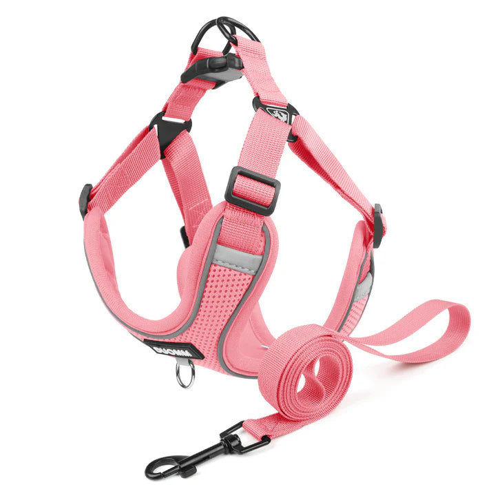 Pawlix-Pug-Harness-Leash-Set.jpg
