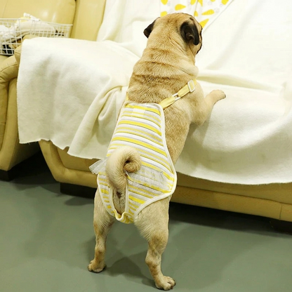 Pawluna-Pug-Reusable-Diapers.jpg