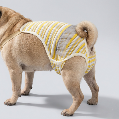 Pawluna-Pug-Reusable-Diapers.jpg