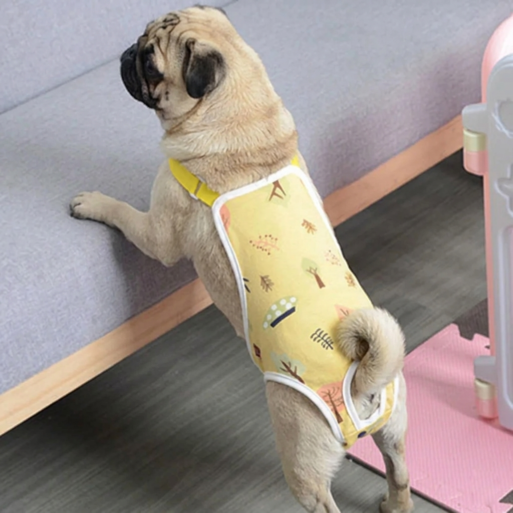 Pawria-Female-Pug-Diaper-Shorts.jpg