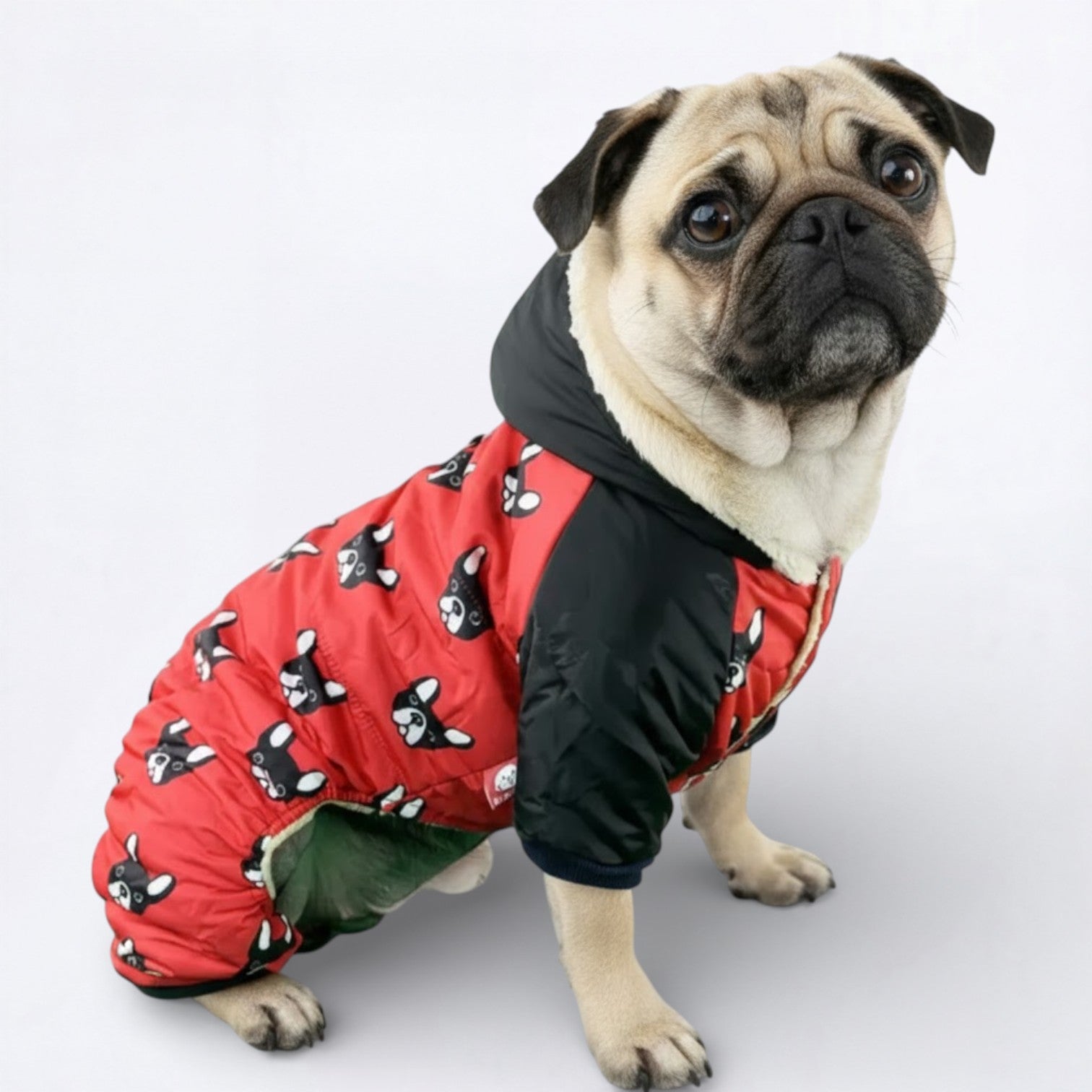 Pawsy-Pug-Winter-Jacket.jpg