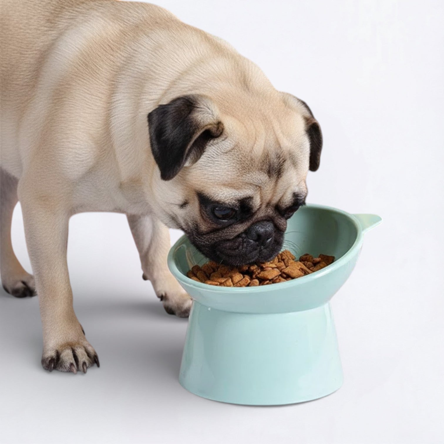 Pawtilt-Pug-Food-Bowl.jpg