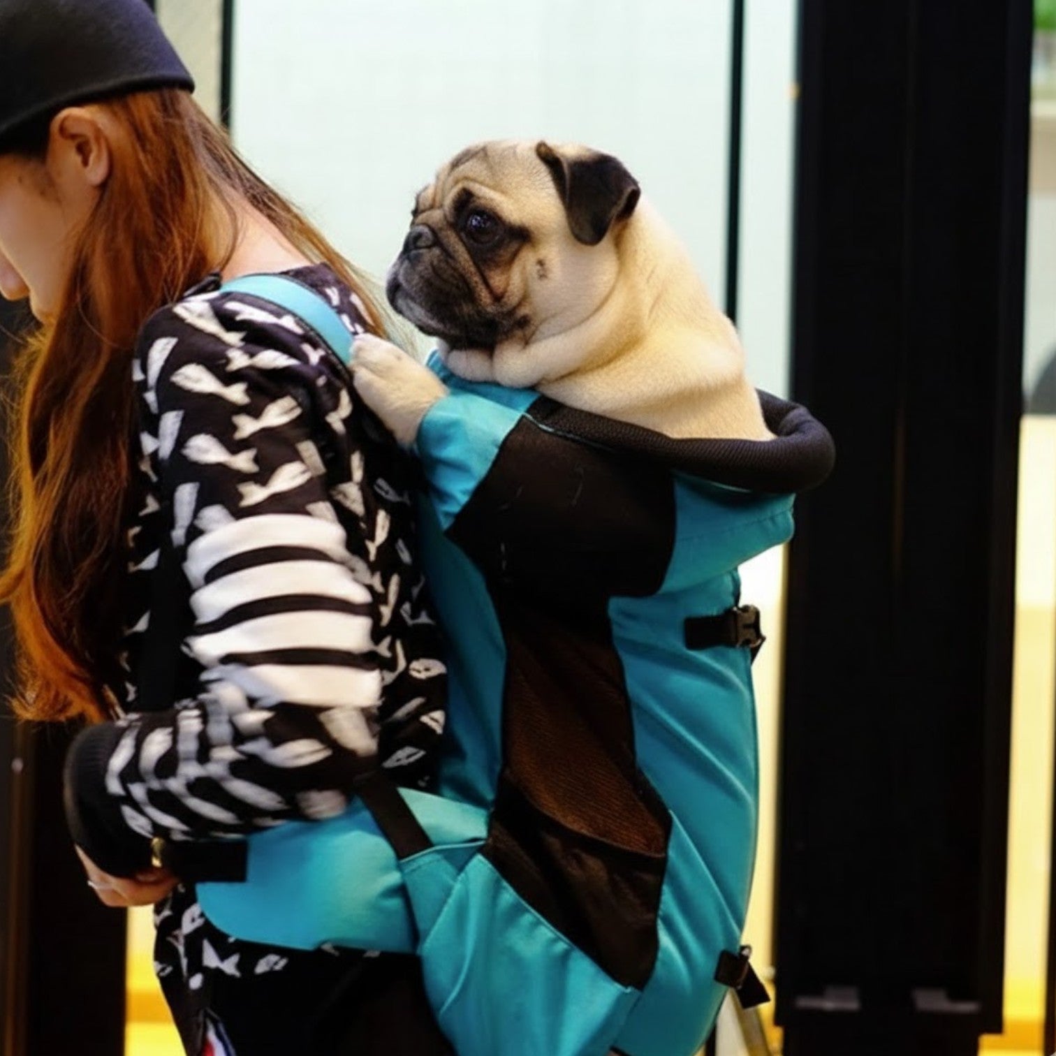 Pawventura-Pug-Backpack-Carrier.jpg