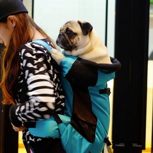 Pawventura-Pug-Backpack-Carrier.jpg