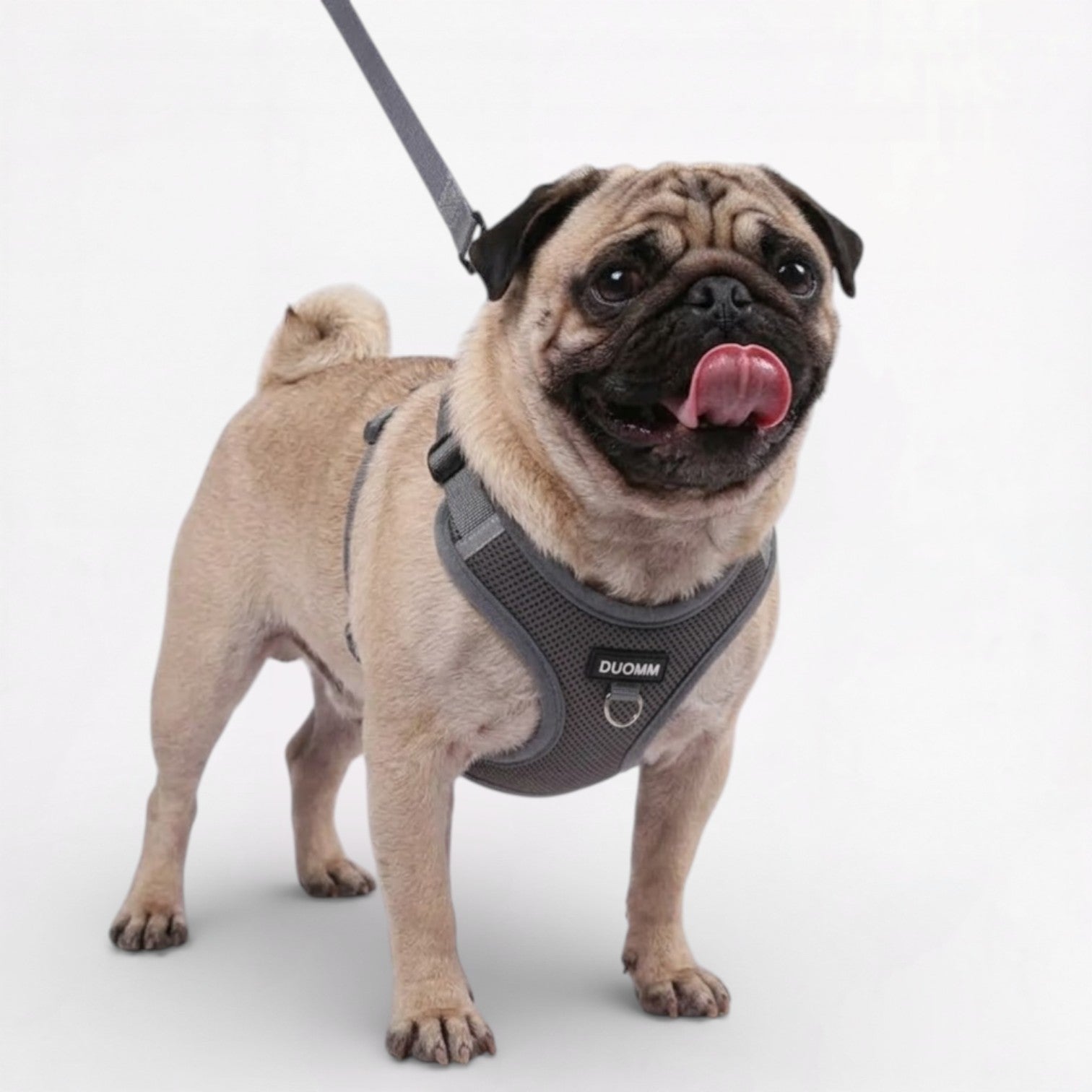 Pawzen-Pug-Harness-Leash-Set.jpg