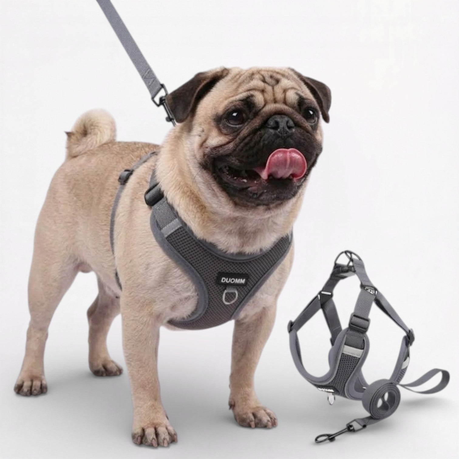 Pawzen-Pug-Harness-Leash-Set.jpg