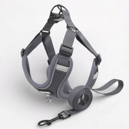 Pawzen-Pug-Harness-Leash-Set.jpg