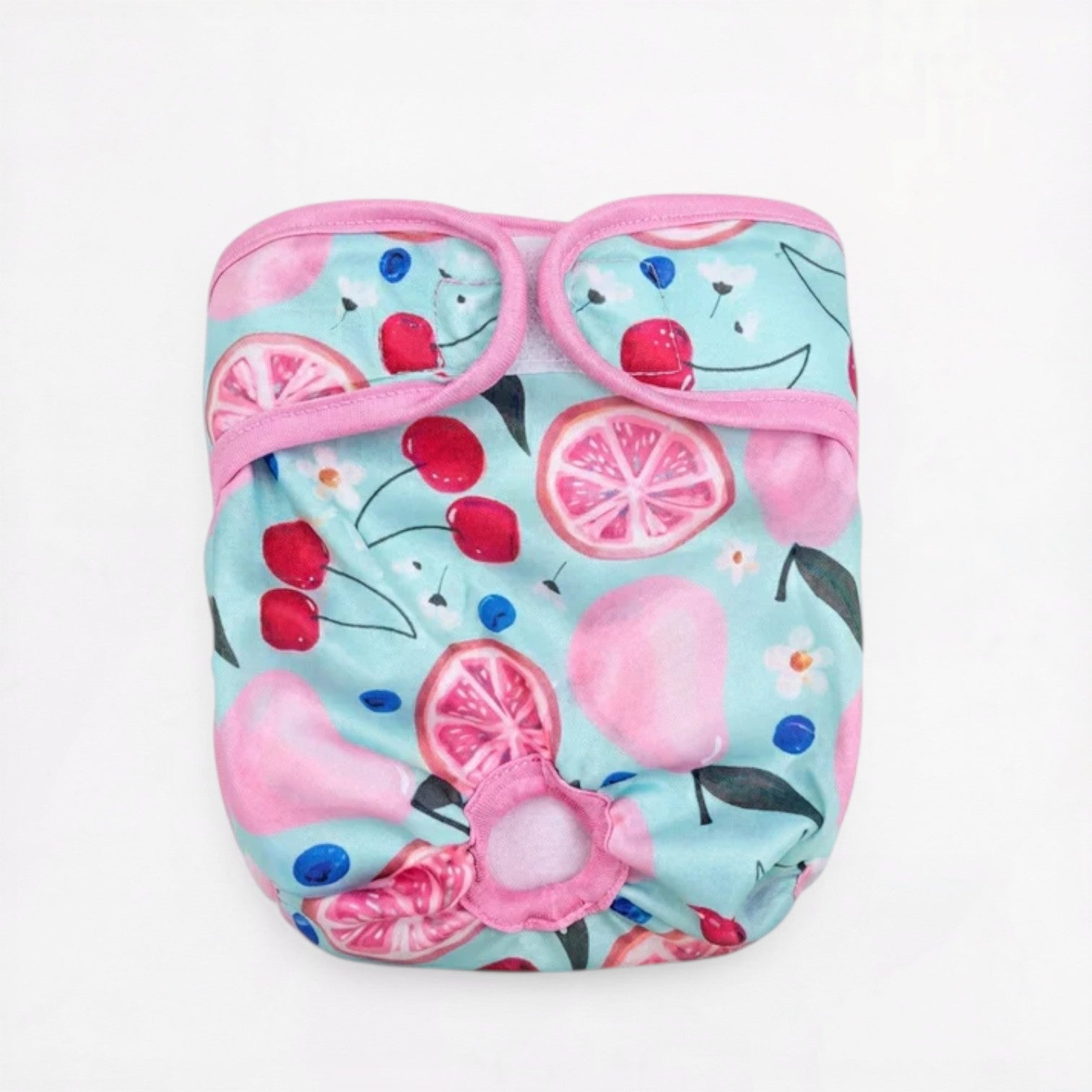 Pawzy-Pug-Cartoon-Washable-Diaper.jpg