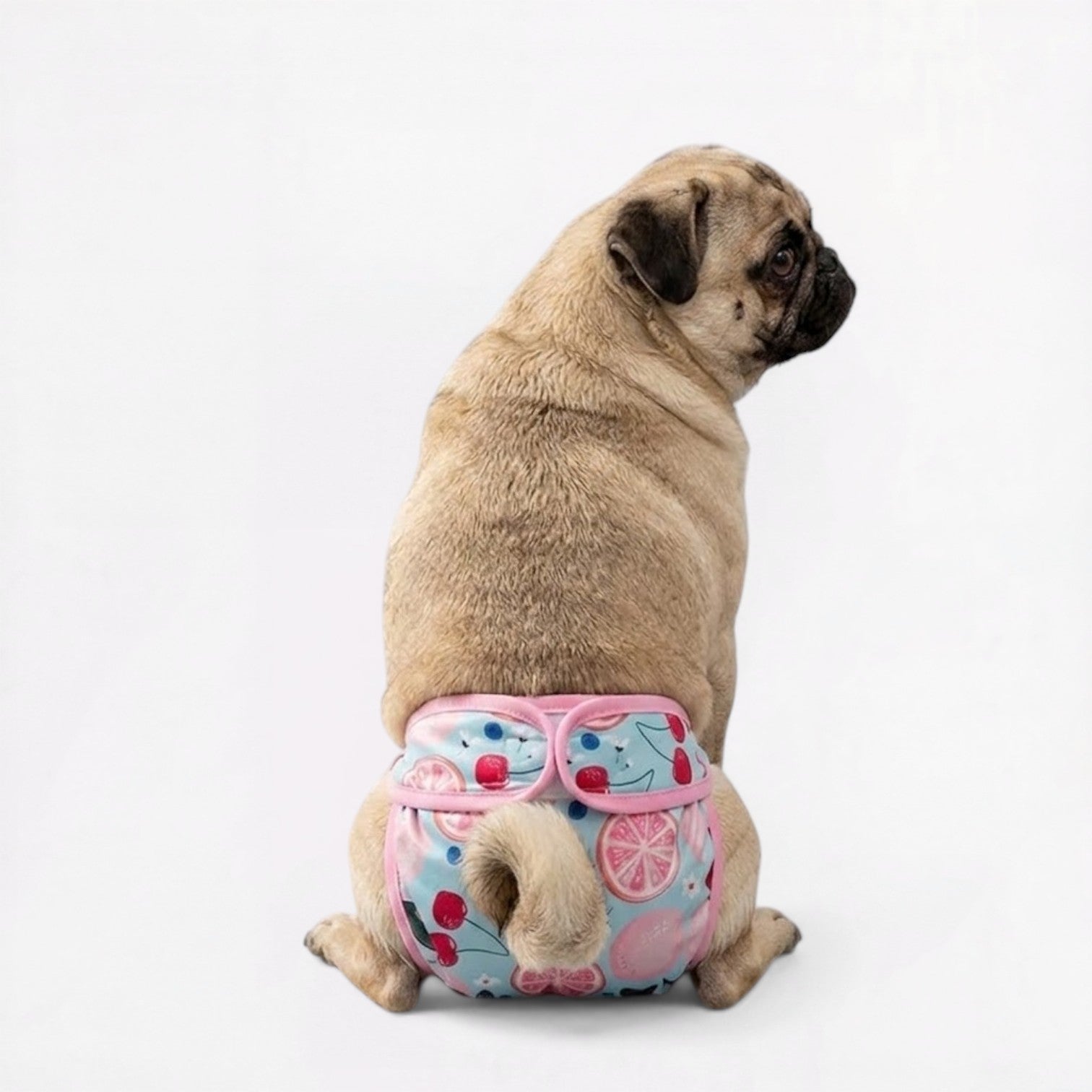Pawzy-Pug-Cartoon-Washable-Diaper.jpg