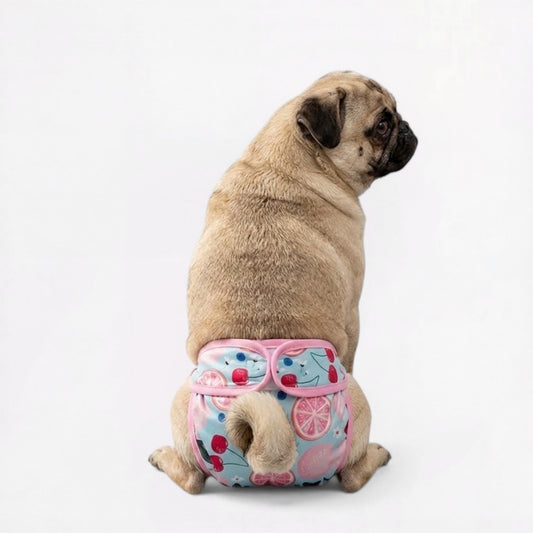 Pawzy-Pug-Cartoon-Washable-Diaper.jpg