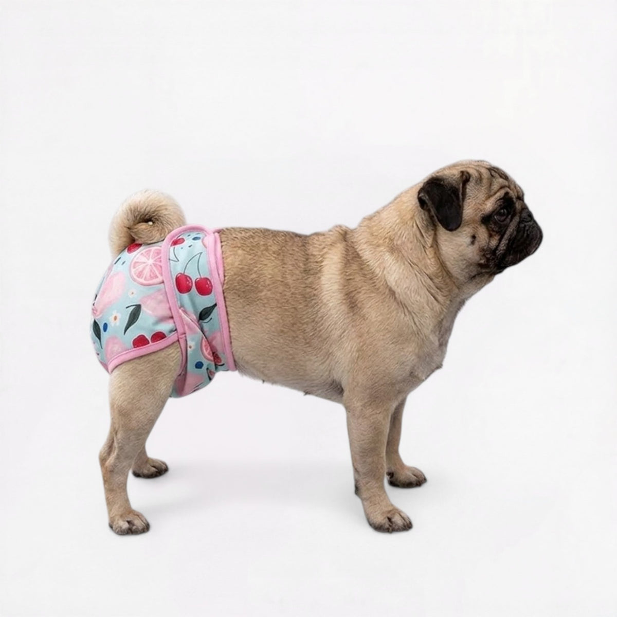 Pawzy-Pug-Cartoon-Washable-Diaper.jpg