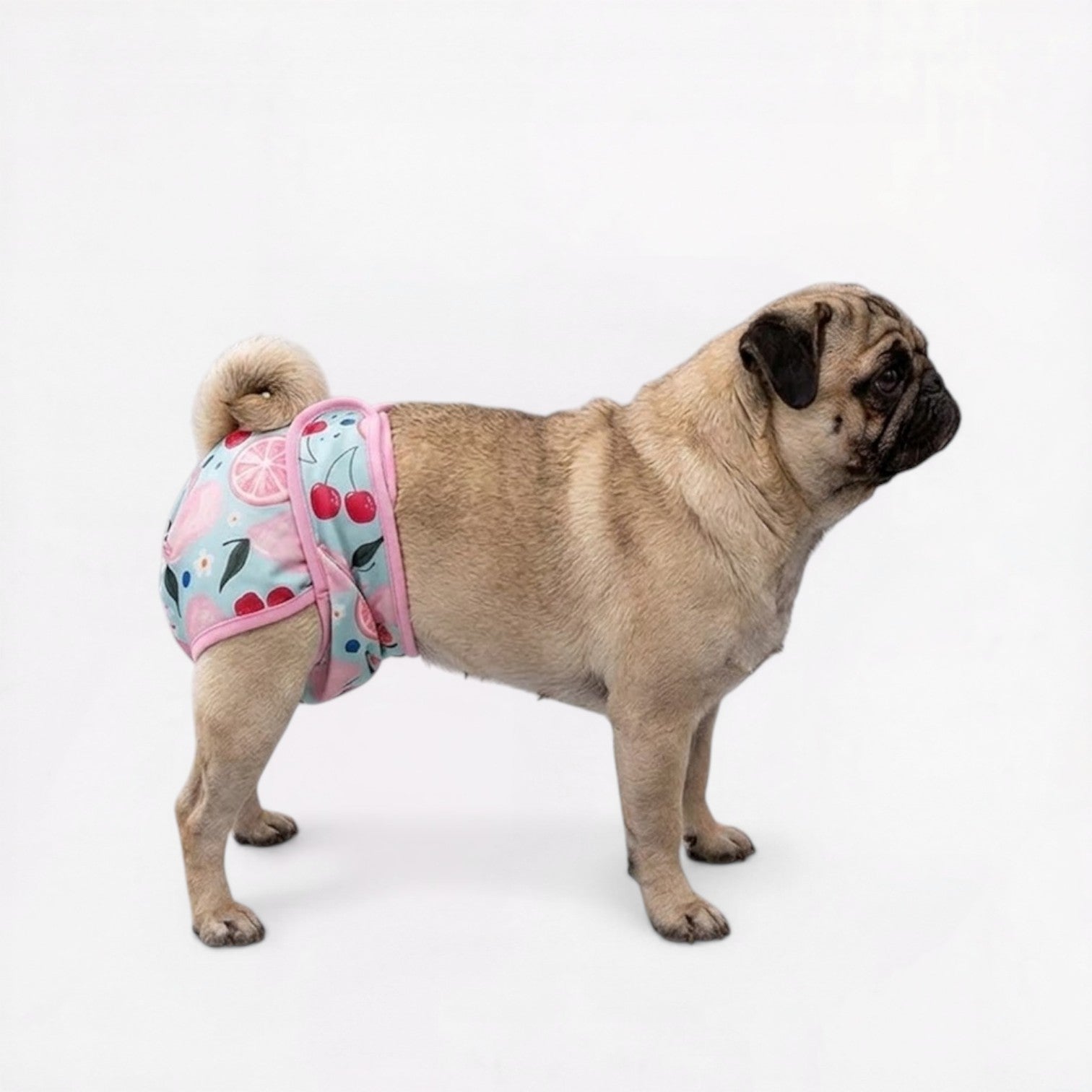 Pawzy-Pug-Cartoon-Washable-Diaper.jpg
