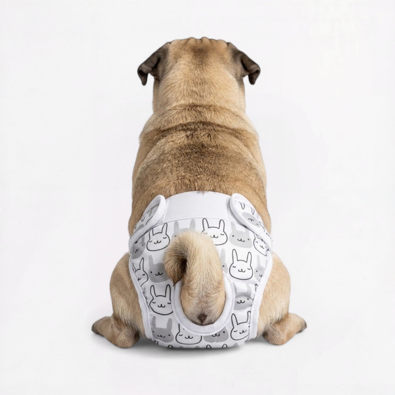 Pawzy-Pug-Cartoon-Washable-Diaper.jpg
