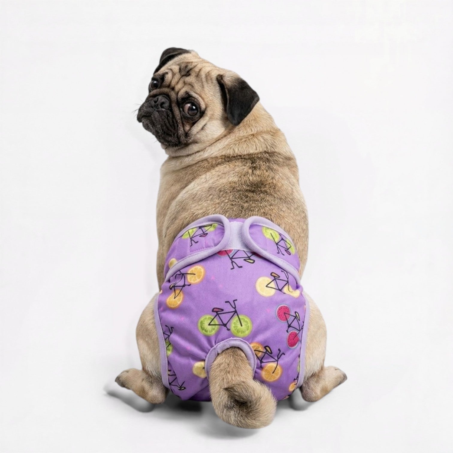 Pawzy-Pug-Cartoon-Washable-Diaper.jpg