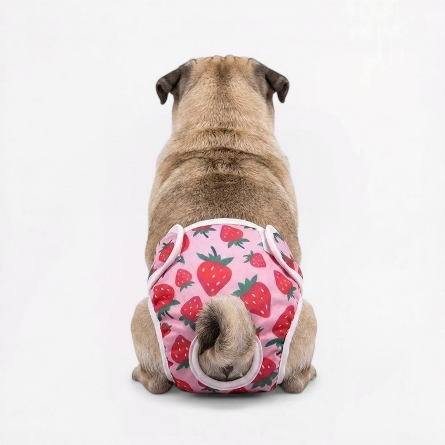 Pawzy-Pug-Cartoon-Washable-Diaper.jpg