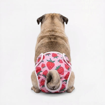 Pawzy-Pug-Cartoon-Washable-Diaper.jpg