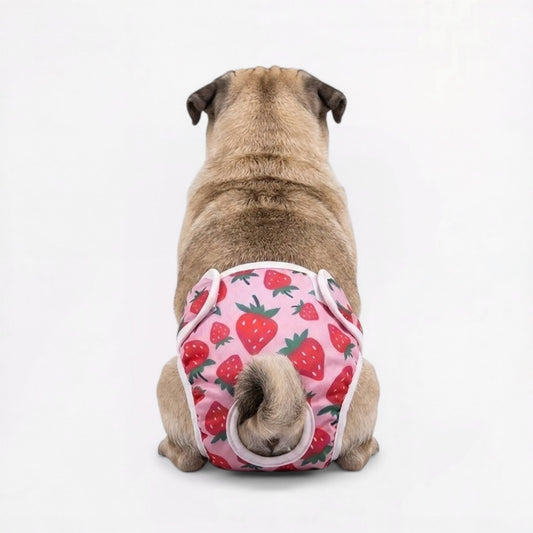 Pawzy-Pug-Cartoon-Washable-Diaper.jpg