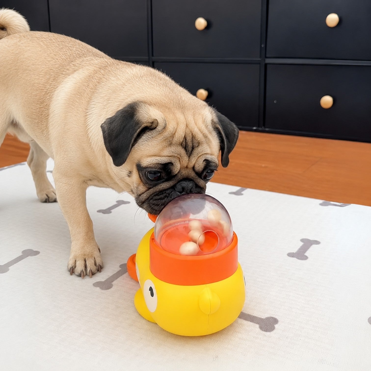 Pawzy-Pug-Food-Puzzle-Toy.jpg