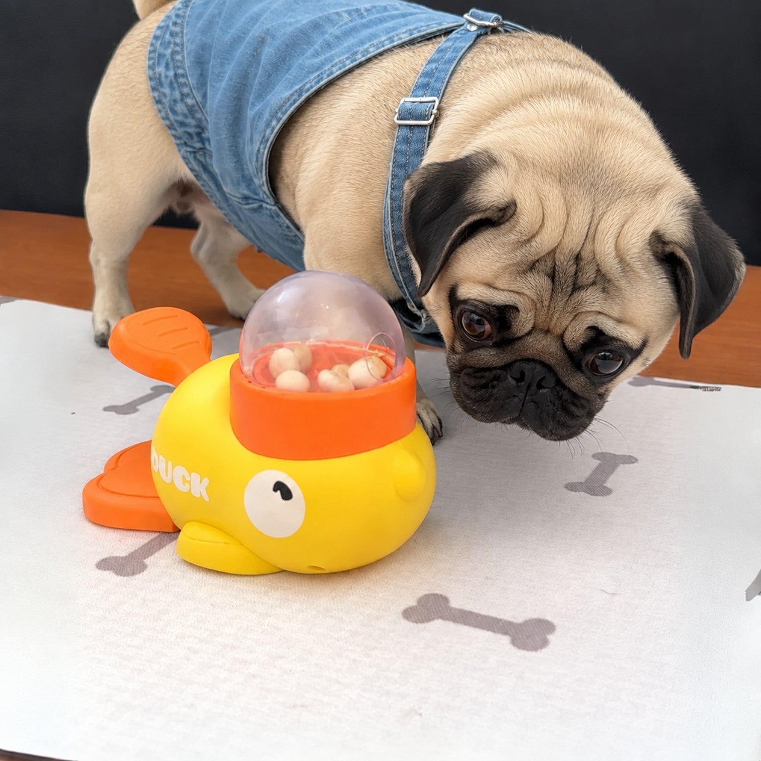 Pawzy-Pug-Food-Puzzle-Toy.jpg