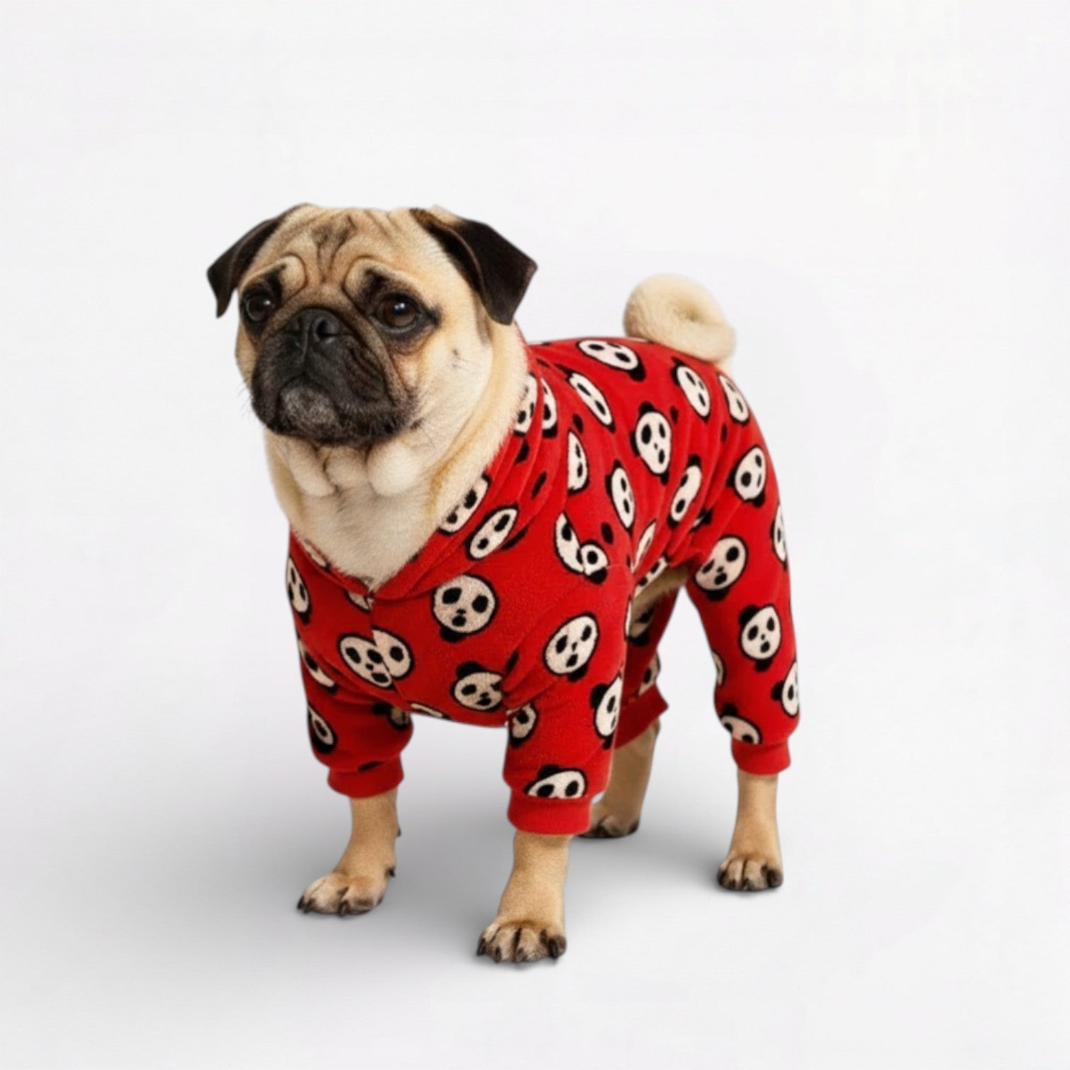 Pawzzy-Pug-Stylish-Jumpsuits.jpg