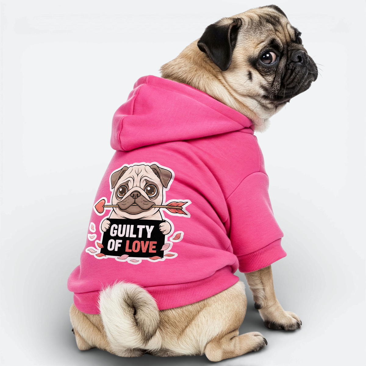 Izzy - Pug Cotton Hoodie