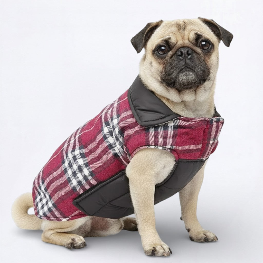 PlaidPaw-Pug-Winter-Jacket.jpg