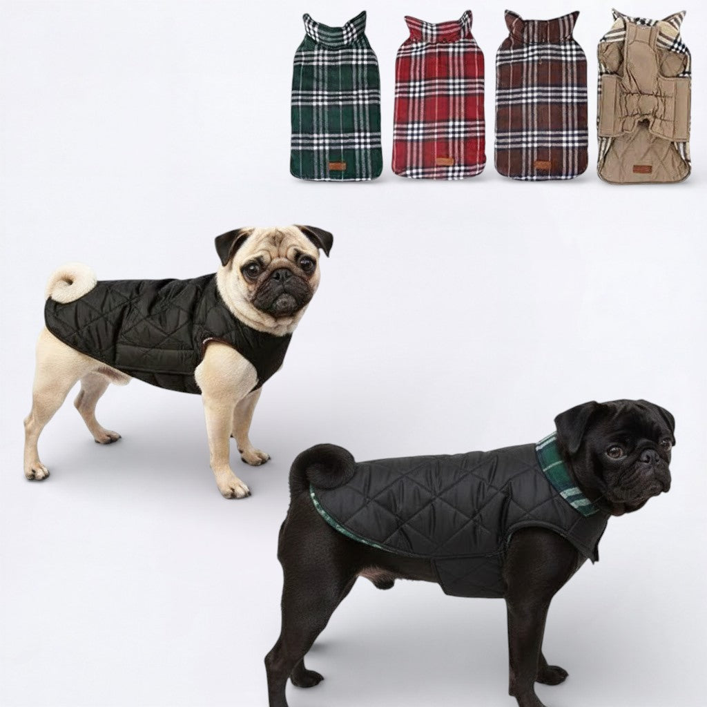 PlaidPaw-Pug-Winter-Jacket.jpg