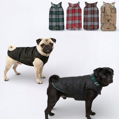 PlaidPaw-Pug-Winter-Jacket.jpg